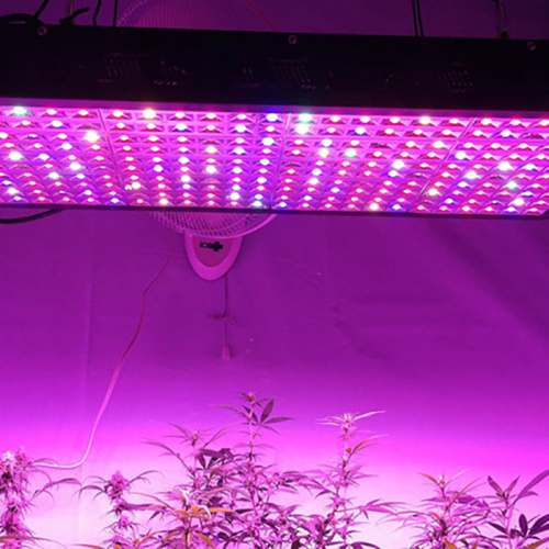 Greenhouse Hydroponic LED Growing Light Manufacturers and Greenhouse Hydroponic LED Growing Light Suppliers