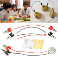 1 Set Children Bio Energy Science Kit Potato Fruit Supply Electricity Experiments Kids Student Learining Science Educational Toy