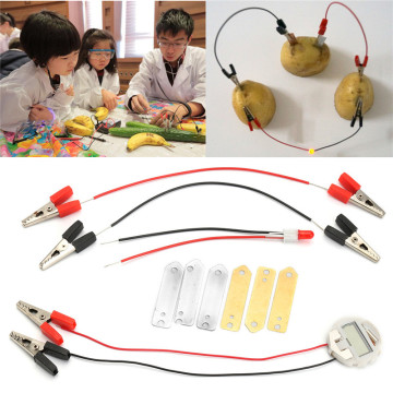 1 Set Children Bio Energy Science Kit Potato Fruit Supply Electricity Experiments Kids Student Learining Science Educational Toy