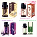 Pure Natural Rose Chinese Medicine Red Rose Essential Oil Weight Loss for Slimming Slim Patch Fast Diets