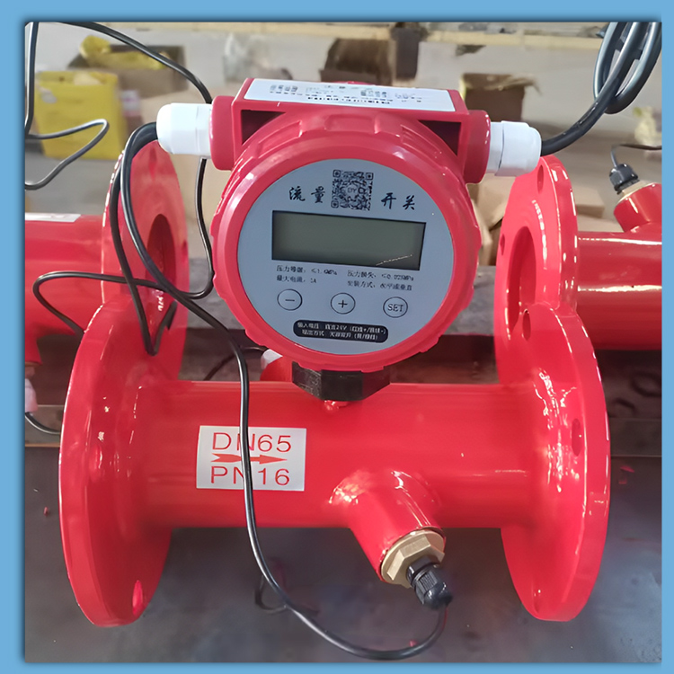 Ultrasonic Flow Switch