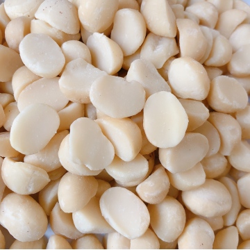 14-16mmNo. 4 Macadamia half kernel