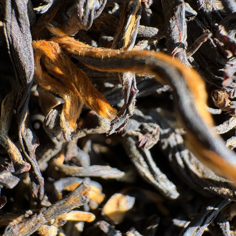 03_Strip_Detail_Dry_Tea_Organic_Congou_Black_Tea.jpg