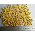 https://www.bossgoo.com/product-detail/freeze-dried-corn-super-sweet-63465143.html