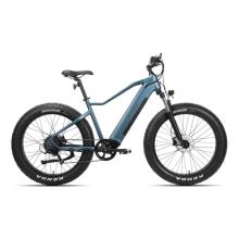 Mountain Road One Seat Electric Fat Bicyle