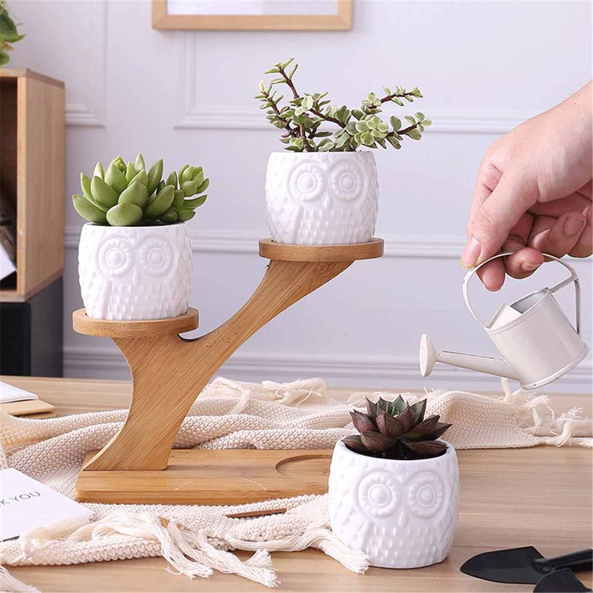 2 Styles Ceramic Succulent Pots Garden Planter for Plants Bonsai Pot Bamboo Plants Stand Sets