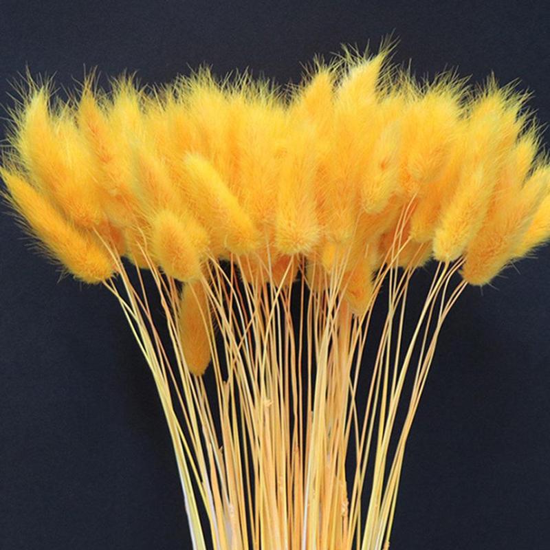 30pcs Lago-tail grass Dried Flowers Bouquet Eternal Natural Plants Preserve Floral for Wedding Home DIY Decor