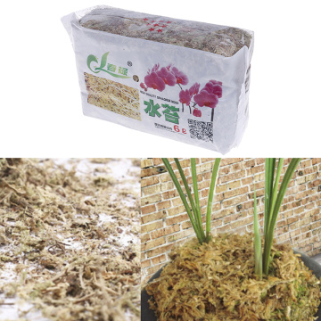 6L Sphagnum Moss Garden Supplies Moss Sphagnum Nutrition Moisturizing Organic Fertilizer For Orchid Phalaenopsis