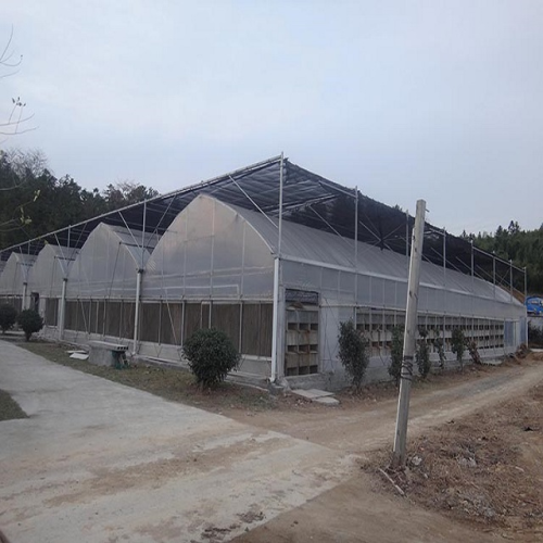 Commercial Hydroponic Plastic Film Green House Manufacturers and Commercial Hydroponic Plastic Film Green House Suppliers