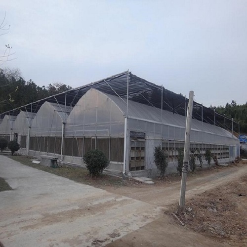 Large Multi-Span Plastic Film Vegetables Greenhouse Manufacturers and Large Multi-Span Plastic Film Vegetables Greenhouse Suppliers