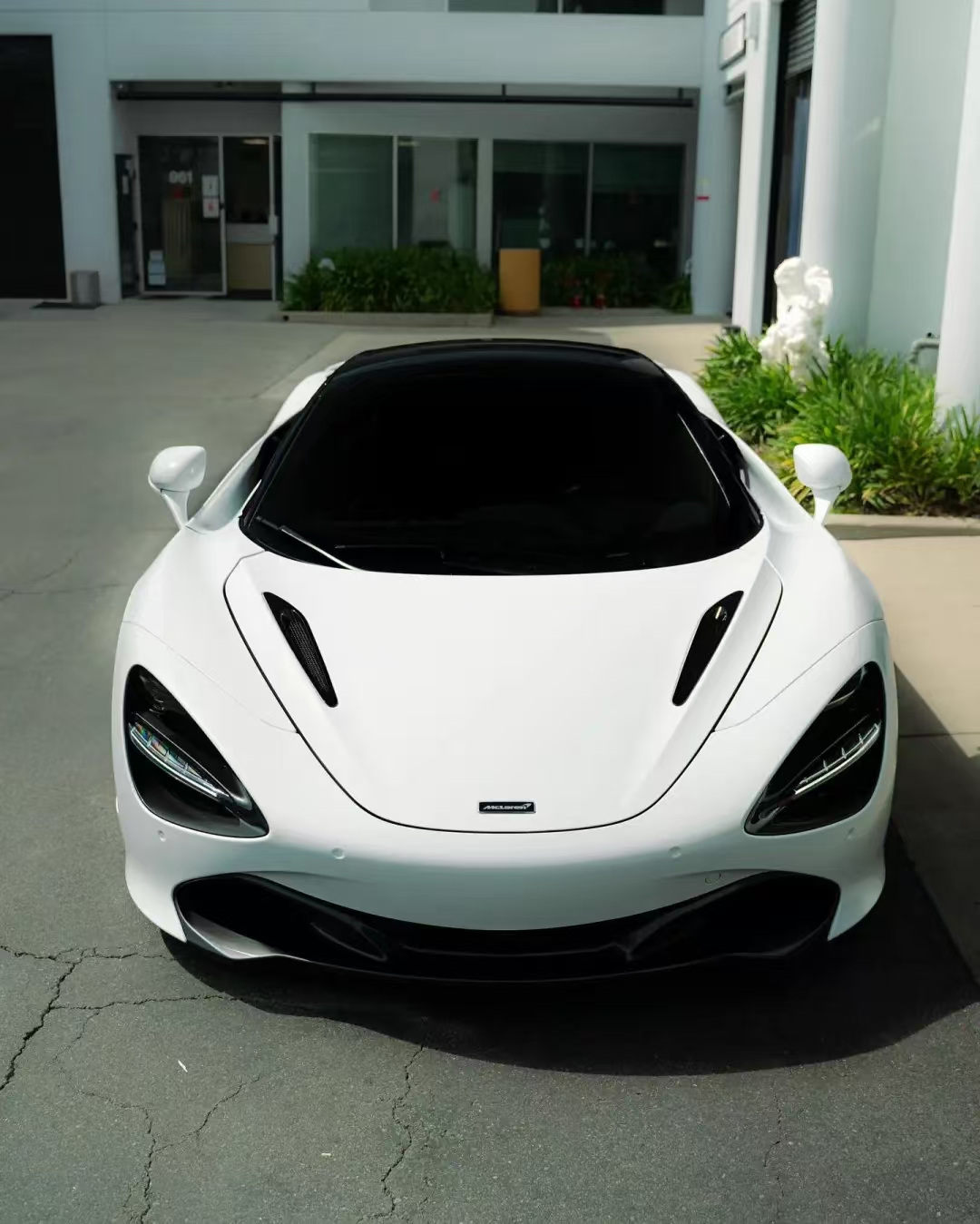 TPU High Elegant White