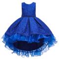 Flower Girl Dresses for Wedding and Party Kids Girls Prom Evening Dress Toddler Ball Gown Formal Elegant Birthday Clothes 10 12