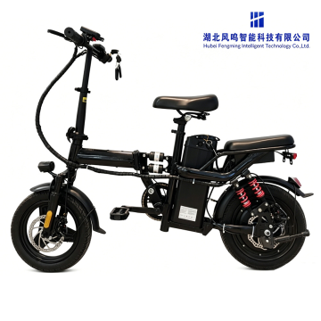 400W Long Range Dual Drive E-Bike