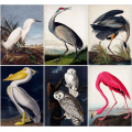 Vintage Bird Audubon Bird Posters Pink Flamingo Snowy Owl Blue Heron White Egret Painting Wall Art Kraft paper