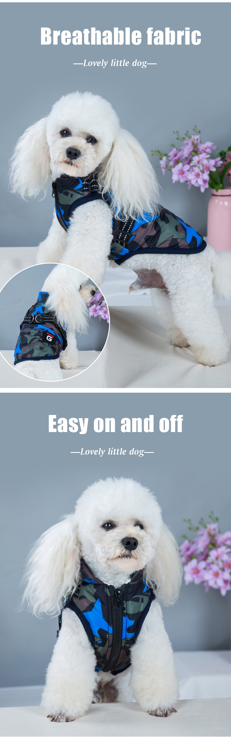 Dog Coat Show Jpg