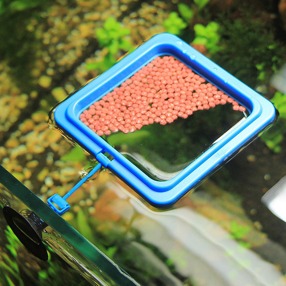 Fish Food Ring Aquarium Fish Tank Small Type Tropical Suction Cup Fish Feeder Feeding Ring Round Square Aquarium Accessories