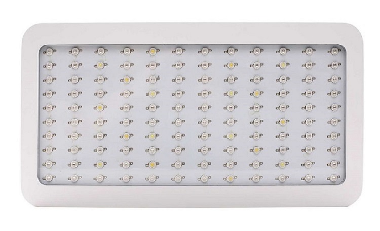 1200W Grow Lights for hydroponic plant growth
