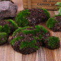 6pcs/Pack Fake Rock Green Foam Moss Stone Artificial Flower Wood Chip Micro Landscap Grass Plant Pet Toy Home Garden Decoration