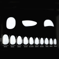 600pcs Short Oval Round False Nail Tips Full Cover Fake Nails Press On Fingernails Nep nagels For Manicure Acrylic Nails