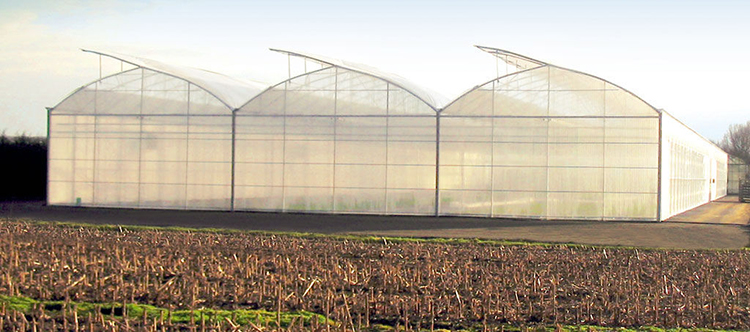Agricultural Plastic Film Covered Greenhouse