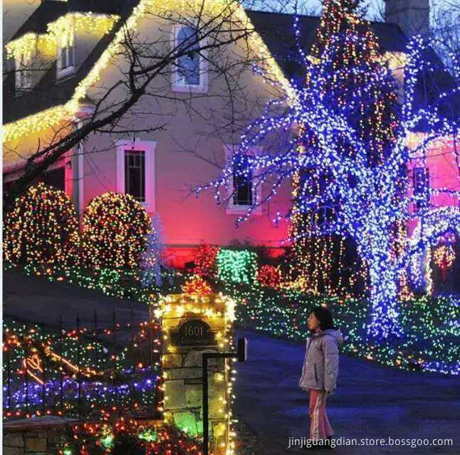 Holiday String lights