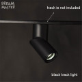black track light