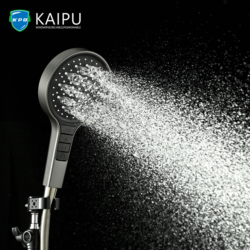 HANDHELD SHOWER (7)
