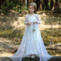 Fancy Princess Costume Girl Clothing Cosplay Princess Kids Dresses For Girls Halloween Role play Long Sleeve Prom Gown