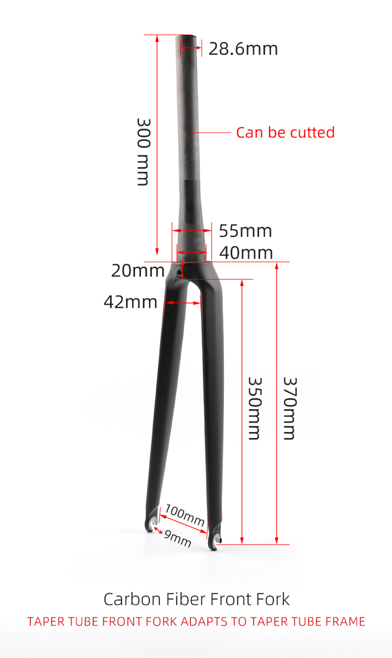 Bike Fork Carbon