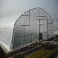 Commercial film greenhouses greenhouse agricultural