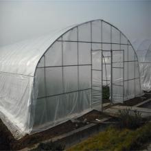 Tunnel Plastic Film Greenhouse the cultivation of vegetables