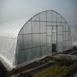 Tunnel Plastic Film Greenhouse the cultivation of vegetables