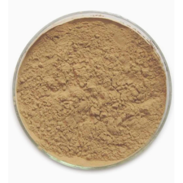 Natural Hemorrhoid-Shrinking Mixed Extract
