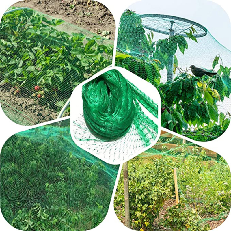 Bird Net Effective Trap Hunting Sensitive Quail Trapping Garden Supplies Pest Control Green Mesh Net Crop Seed Vegetables Care