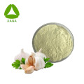 Garlic Extract Powder Allicin Free Sample