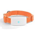 Watch Design GPS Tracker Pet GPS Collar