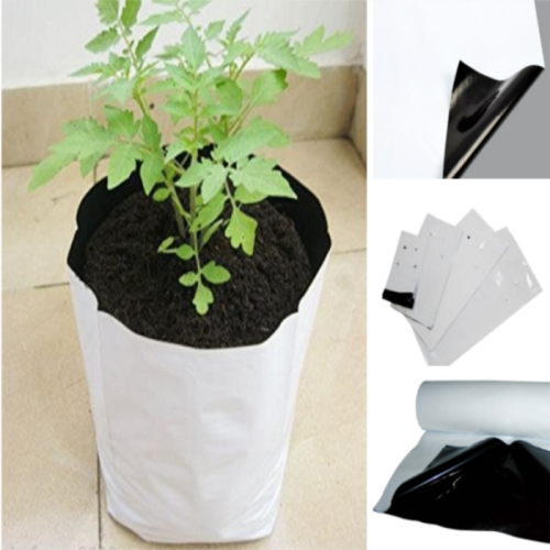 7 Gallon Plastic Nursery Grow Bag Manufacturers and 7 Gallon Plastic Nursery Grow Bag Suppliers