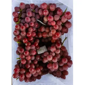 Fresh Red Grape with Natural Sweetness and Shine