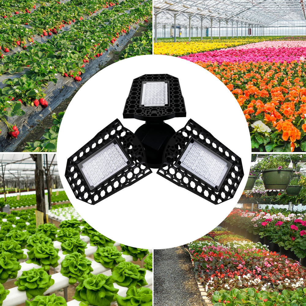 LED Full Spectrum Plant Seedling Growing Lamp E27 Hydroponic Phyto Light Greenhouse Flower Seed 220V Grow LED Lamp 40W 60W 80W