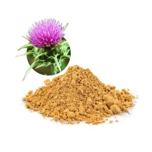 Premium Grade Milk Thistle Extract for Liver Protection