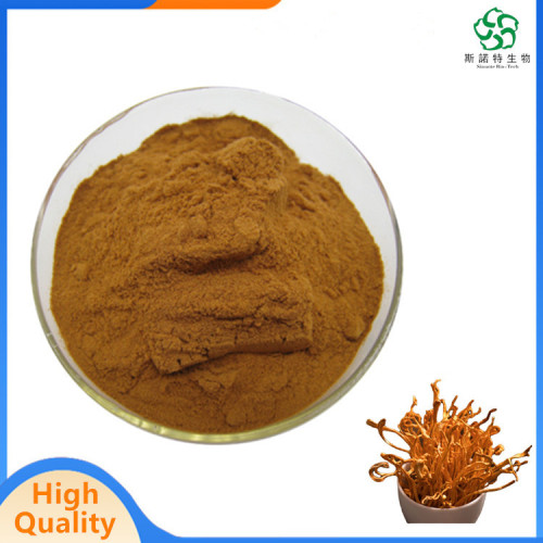 Healthcare Supplement Cordyceps Militaris Mushroom Extract for Sale, Offer Healthcare Supplement Cordyceps Militaris Mushroom Extract