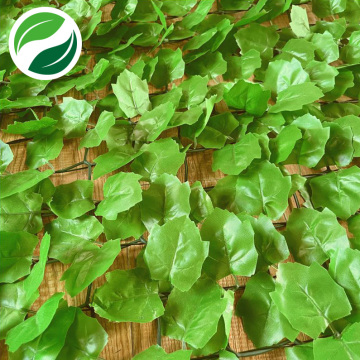 Light maple leaf simulation green plant extrusion net