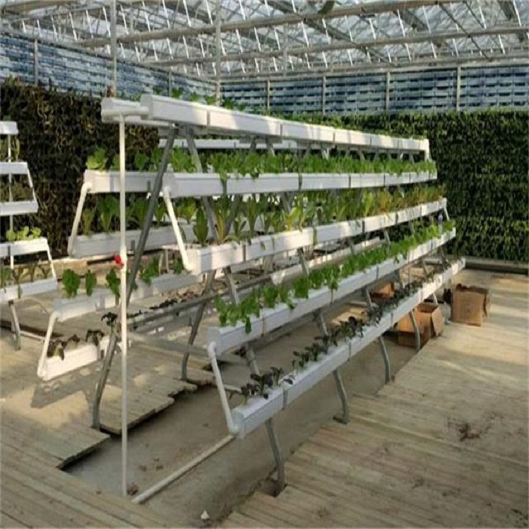 Hydroponic system 4