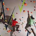32 Rock Climbing Holds for Kids, Adult Rock Wall Holds Climbing Rock Wall Grips - Includes Mounting Hardware