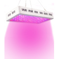 Seed starting with led grow lights 1500W