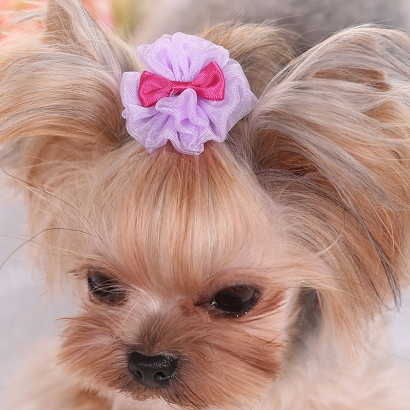 Dog Beautiful Cute Hairpin Pet Dog Accessories Supplies Hairpin Fashion Bowknot Dog Hair Clip Headdress Pet Hair Decoration