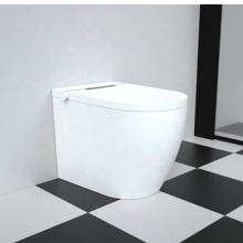 Dual Flush Watersense Toilet Smart Floor-Stand WC Ceramic Bathroom Toilet
