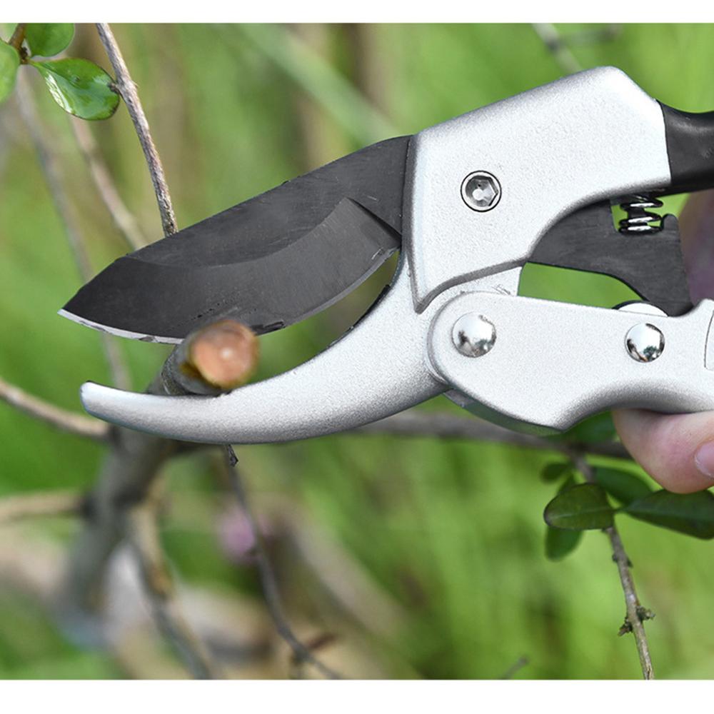 20cm Orchard Ratchet Plant trim horticulture Hand pruner cut secateur Shrub Garden Scissor tool anvil Branch Shear pruni