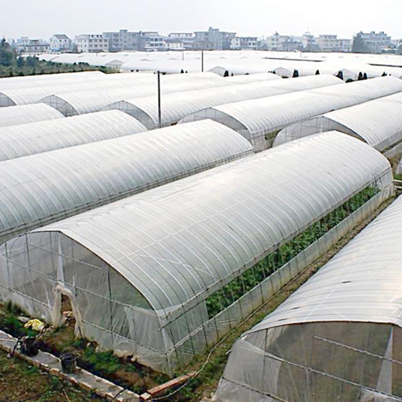1m Width:2m~12m 0.08mm Reinforced PE Greenhouse Film Garden Vegetable Plant Cover Rain-proof Keep Warm Transparent Film