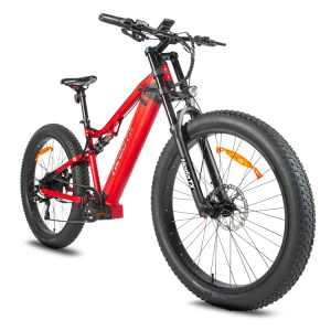 Men's and women's fat tyre mountain bikes.